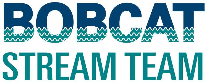 bobcat stream team logo