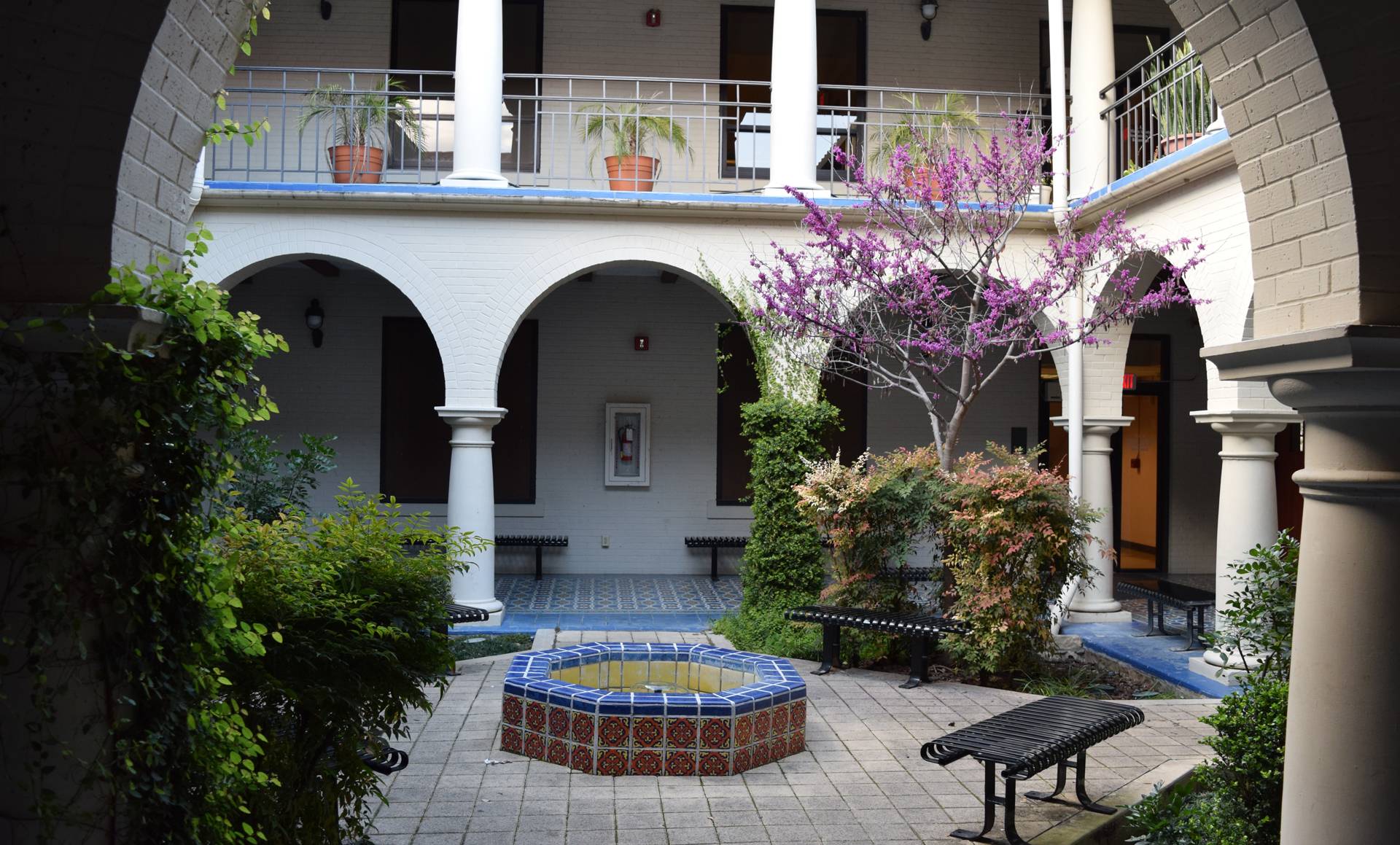 Taylor Murphy Courtyard Image