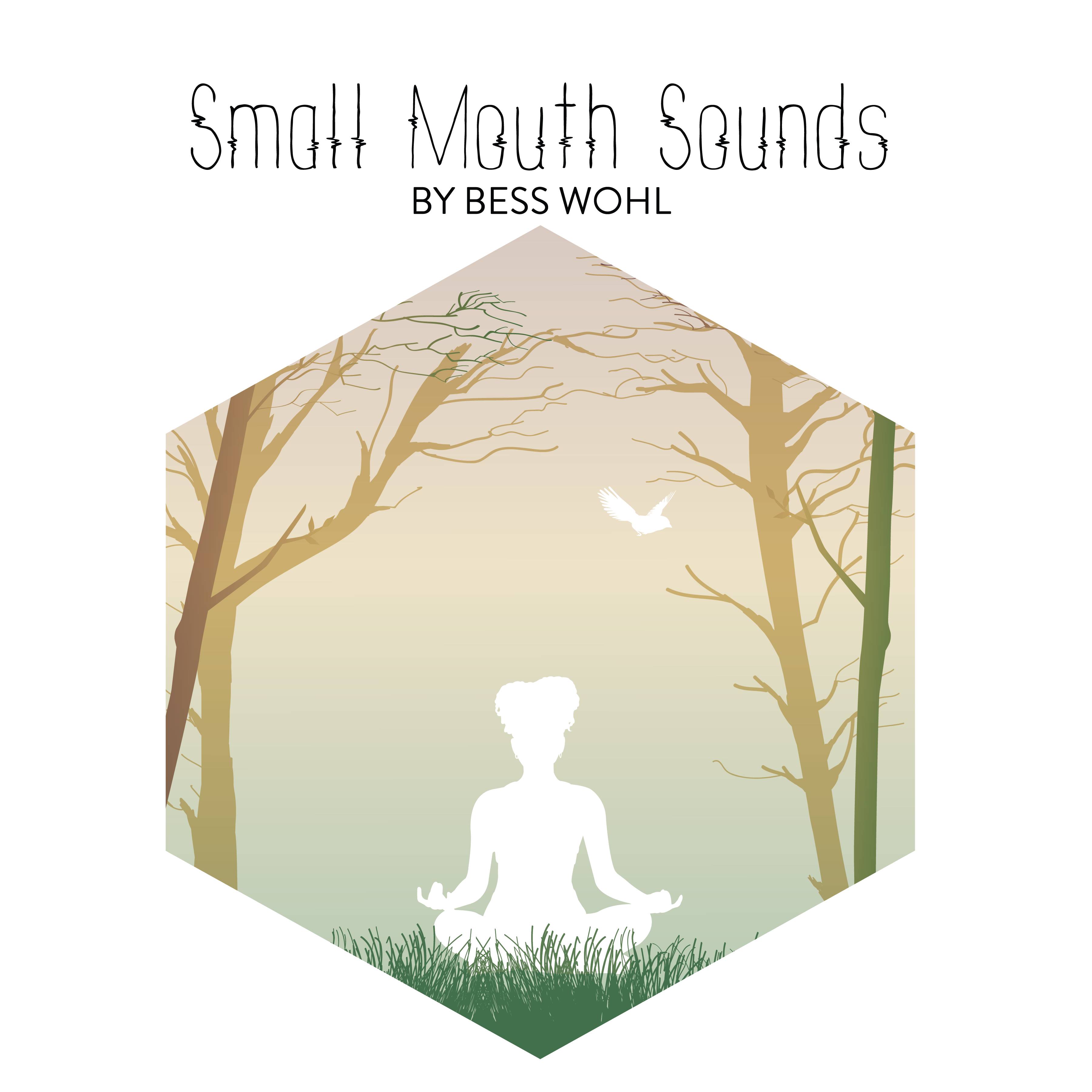 Small Mouth Sounds Poster