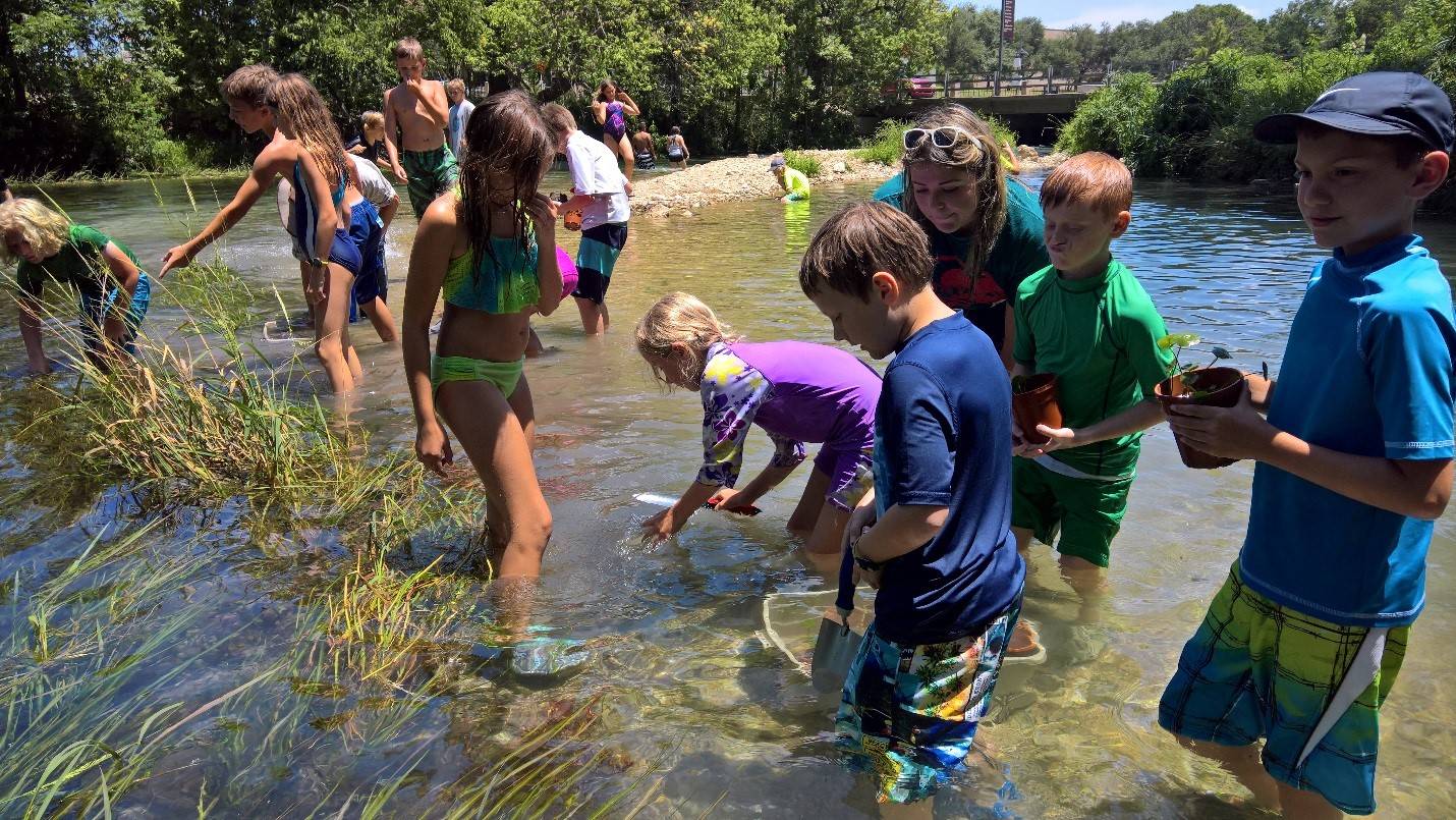 kids river collecting aquatic bugs