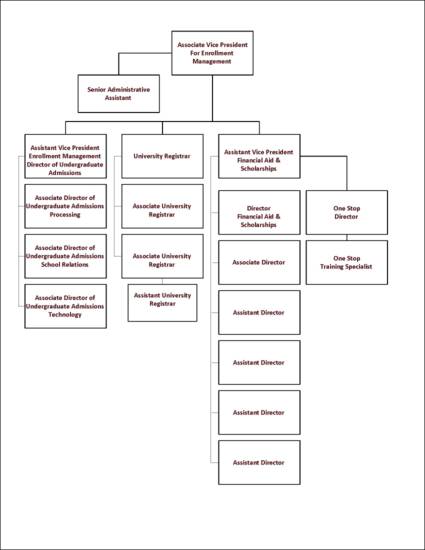 Organizational Chart : Enrollment Management : Texas State University