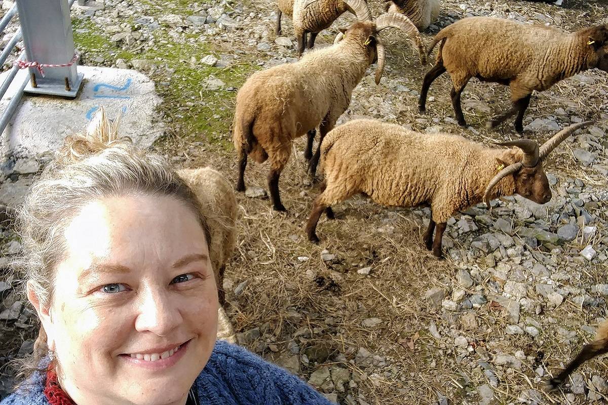 North Atlantic Native Sheep and Wool Conference