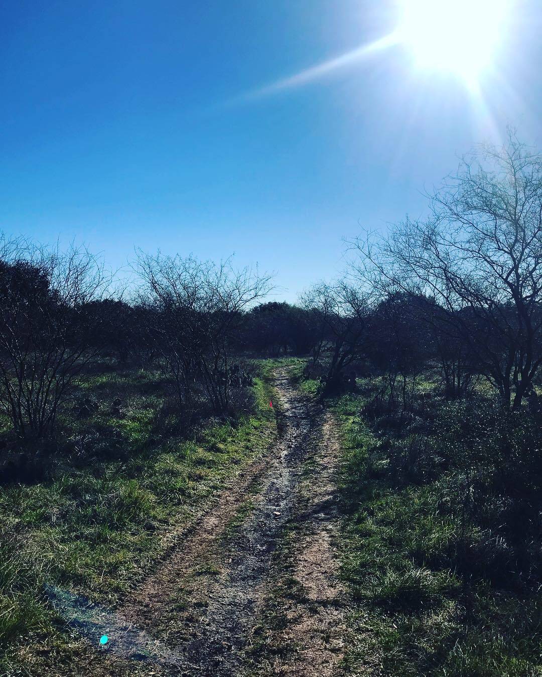 an open trail with blue skies and shining sun