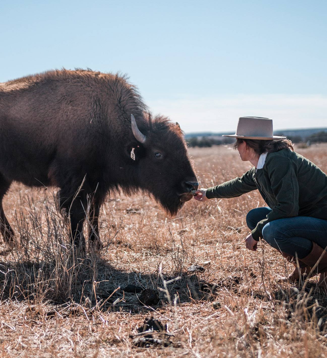 woman with buffalo