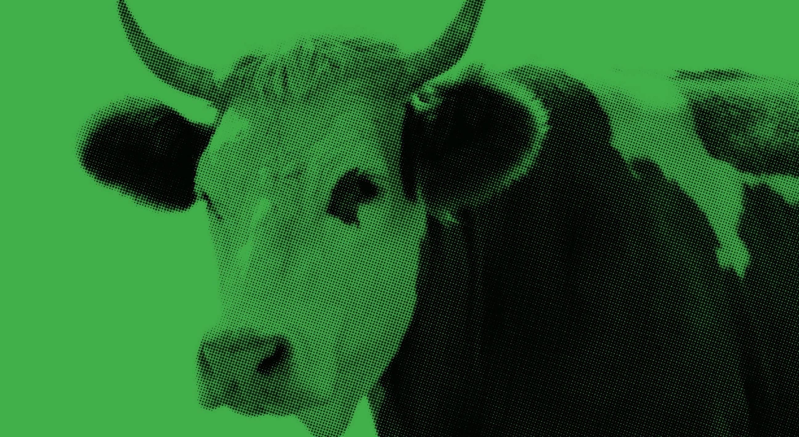 creepy cow with green overlay