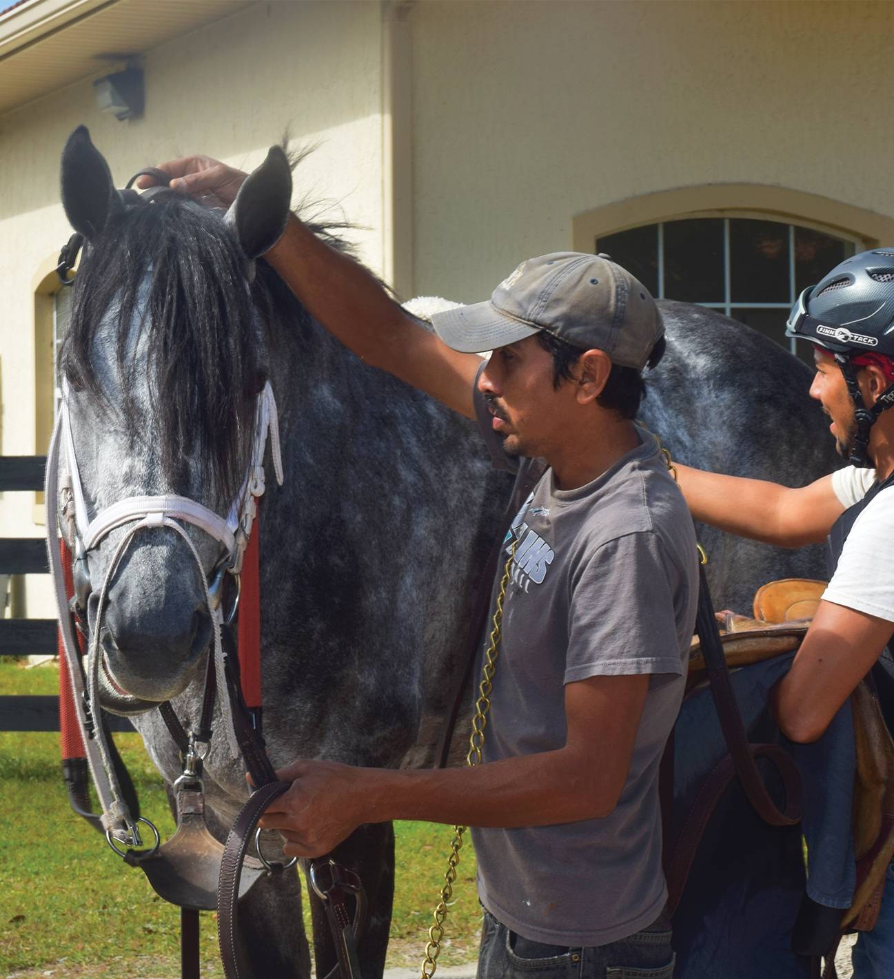 gold mark farm horse and staff