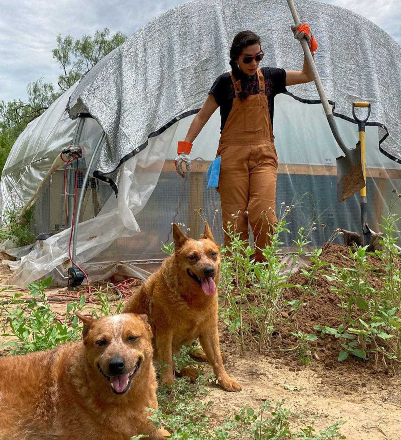 marcella juarez and two dogs