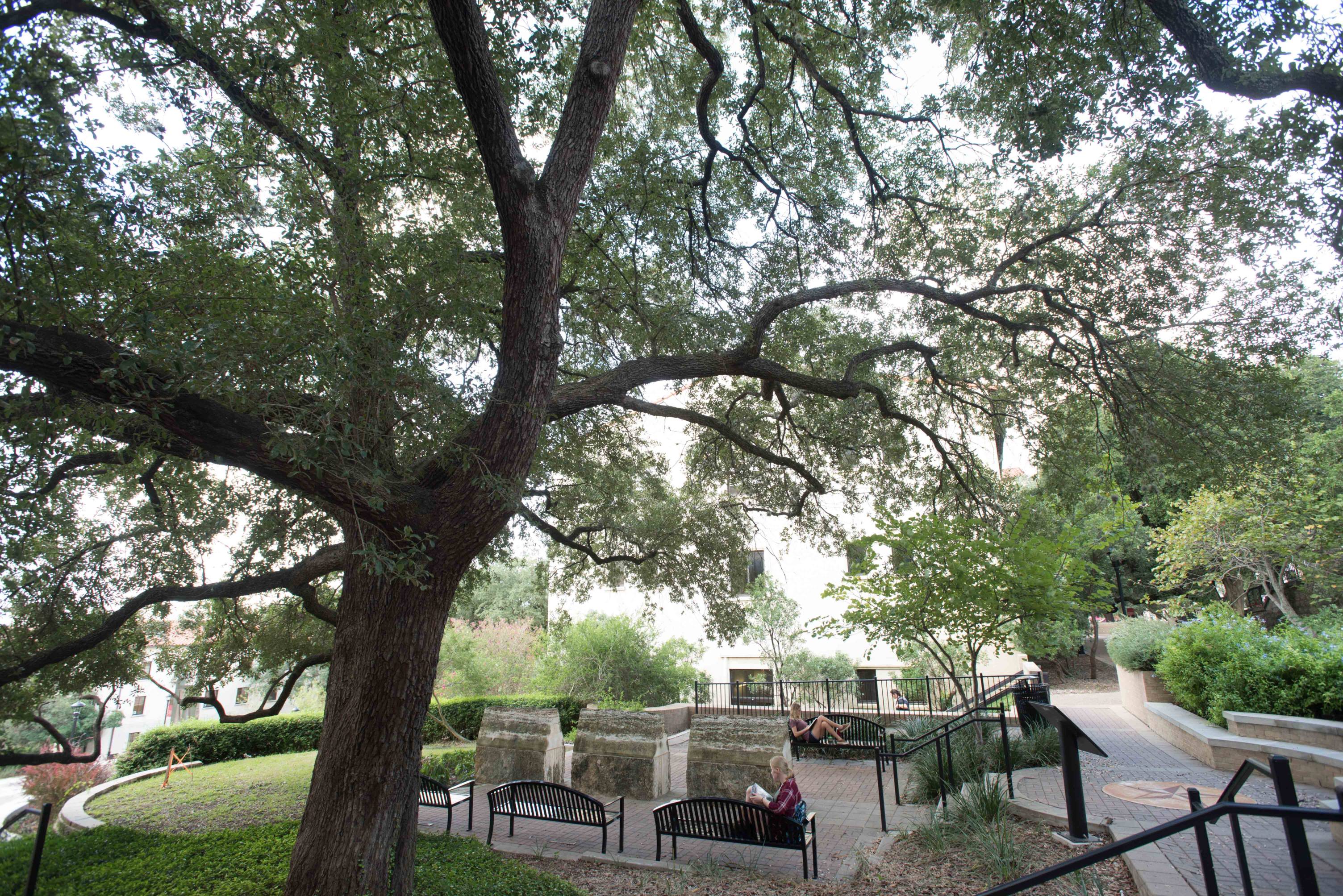 a full view of the memorial gardens with students taking time to study on the benches