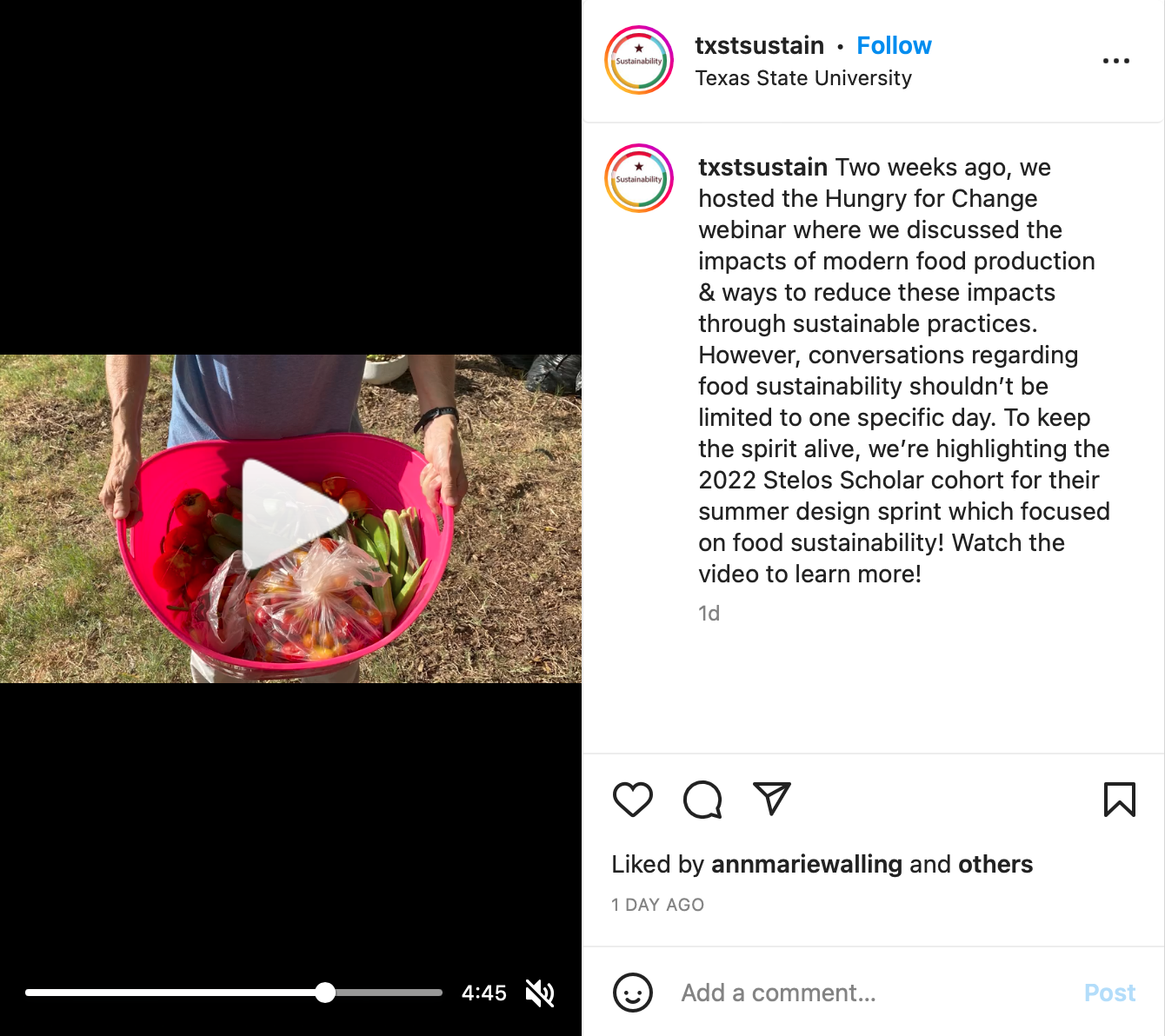 Instagram post for Stelos Scholars
