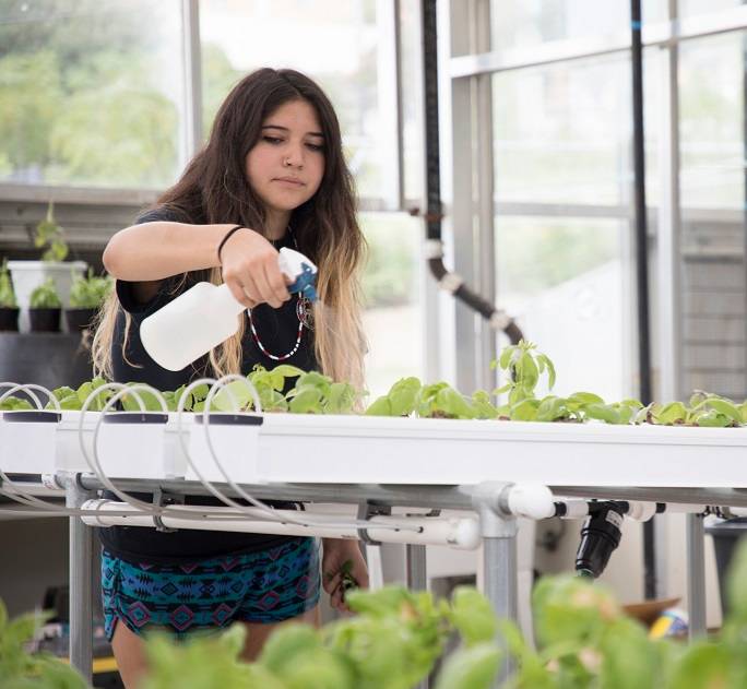 Student Watering palnts