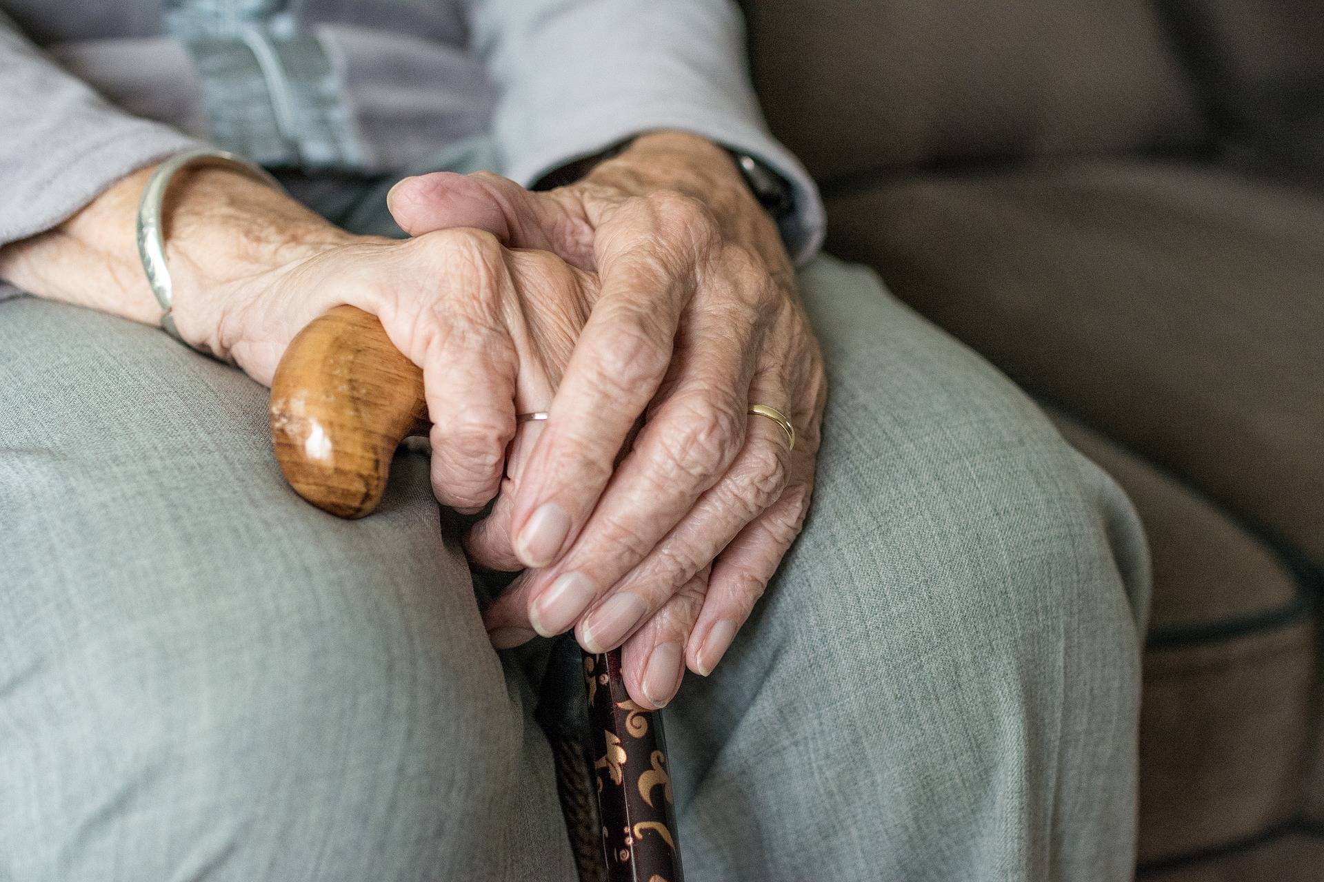 elderly hands holding cane