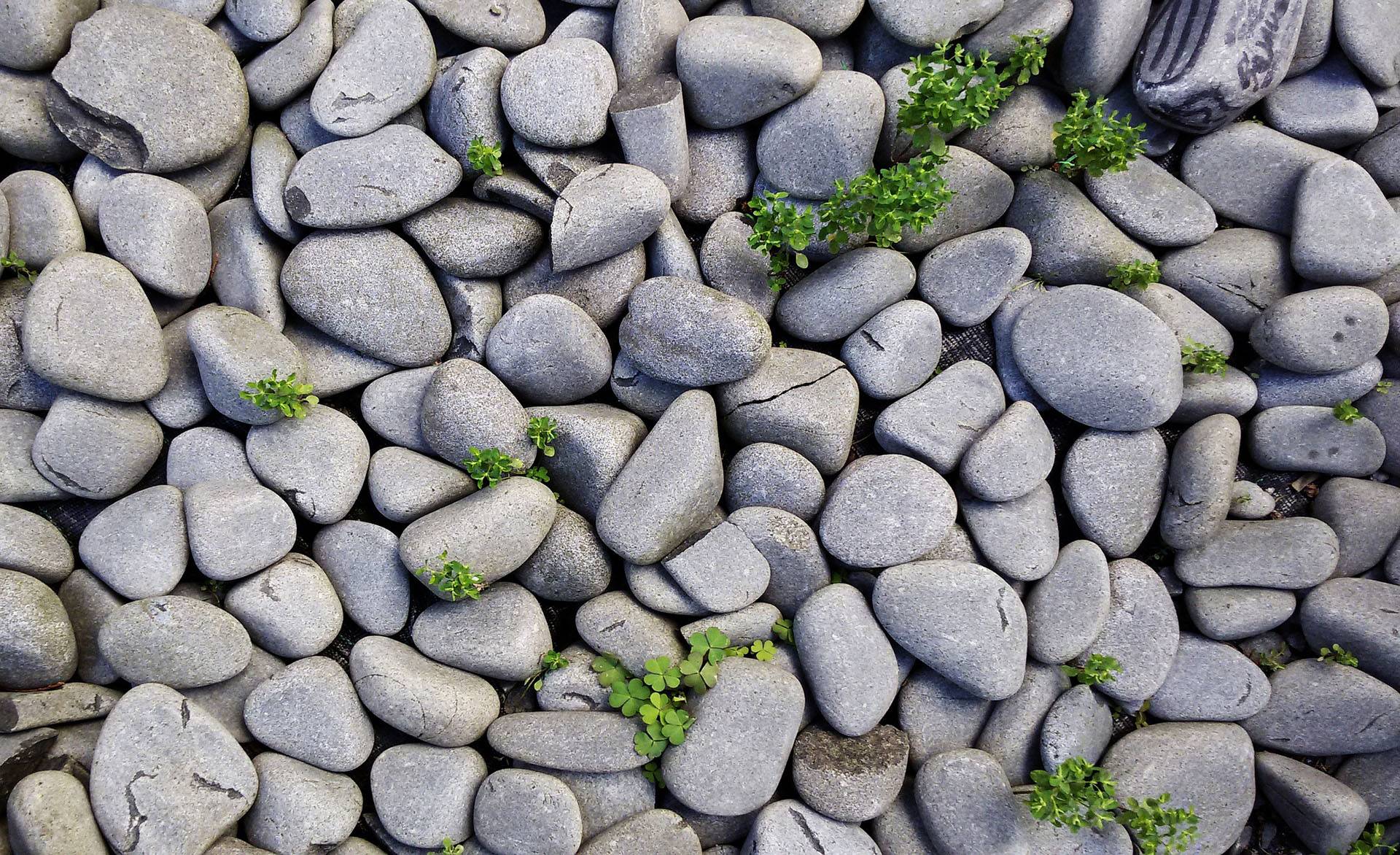 smooth stones on ground