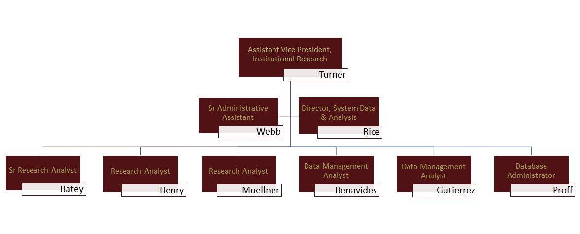 Office of Institutional Research Organization Structure
