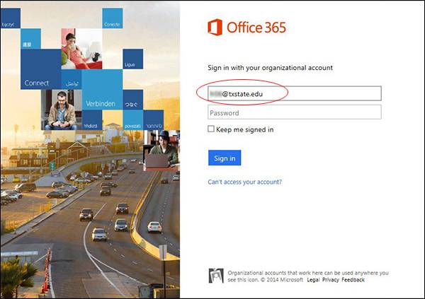 office 365