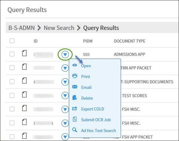 query results window