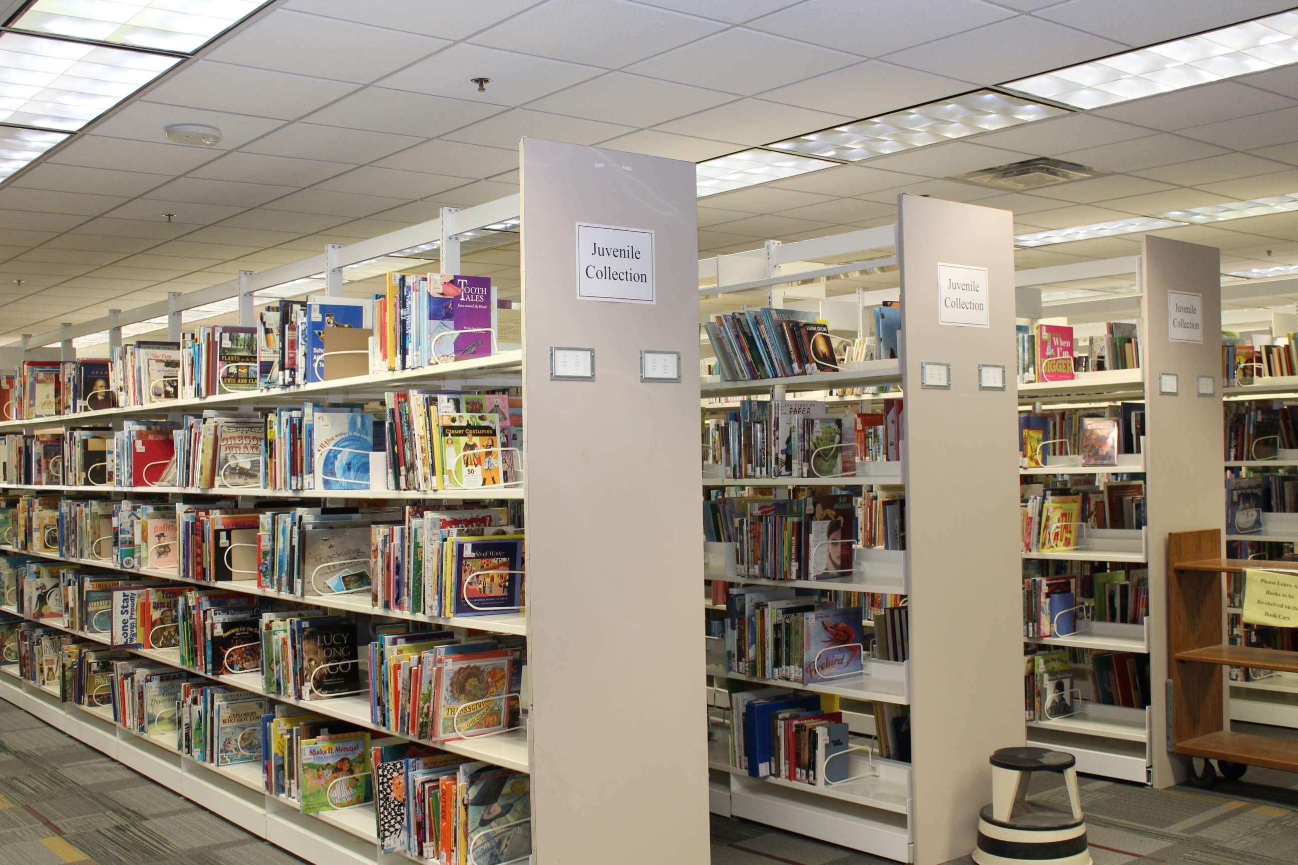 Image of the Juvenile Collection on third floor