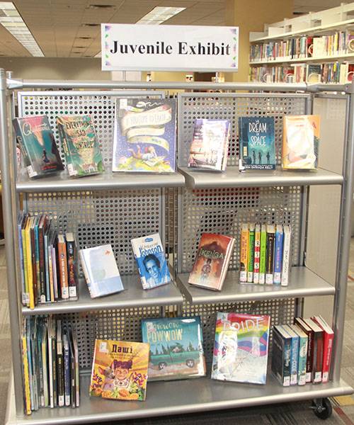 Book shelve displaying juvenile book collection