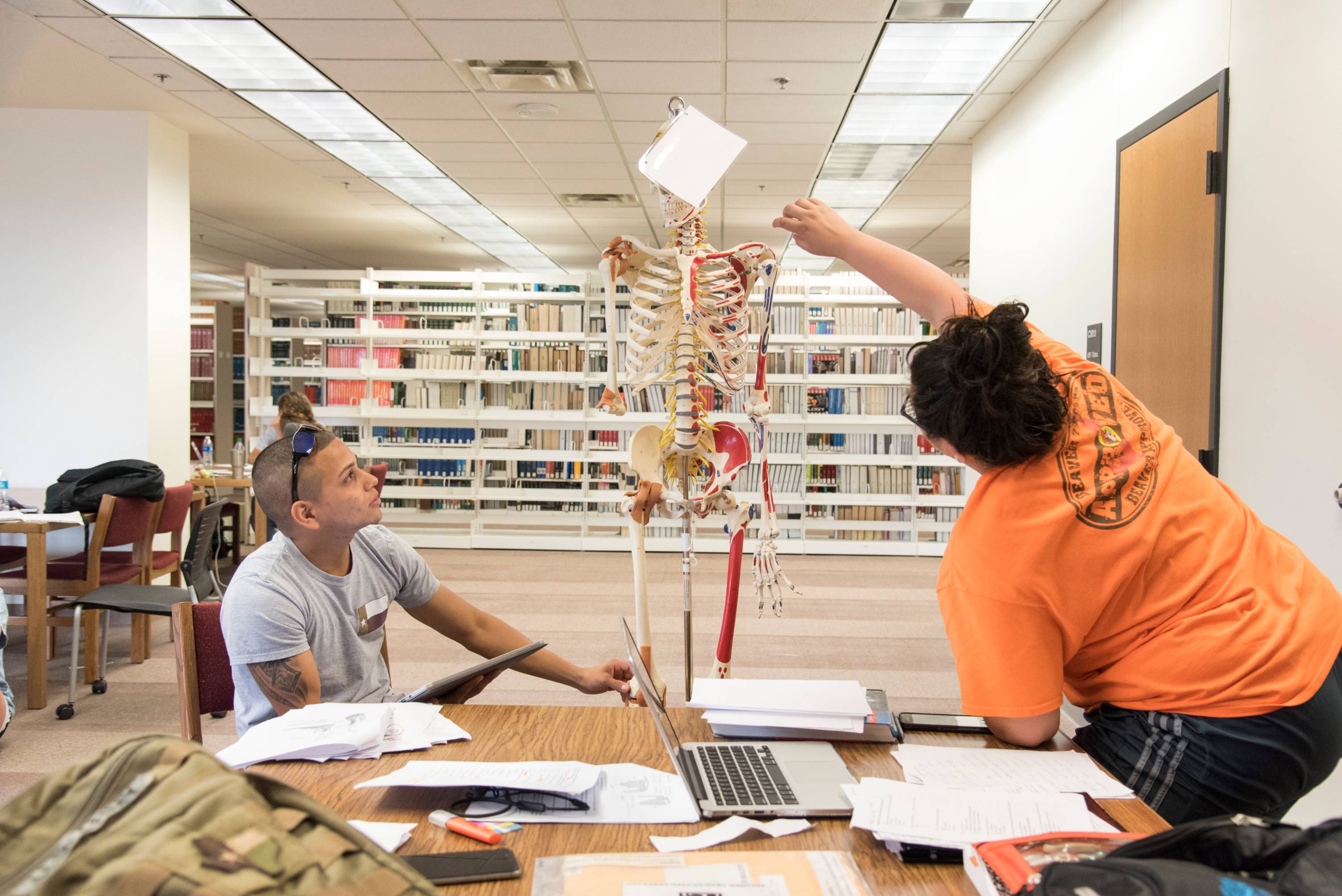 Students studying a human skeleton in Alkek library.