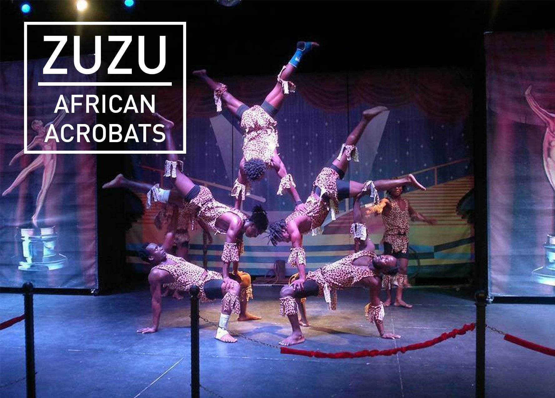 zuzu agrican acrobats graphic