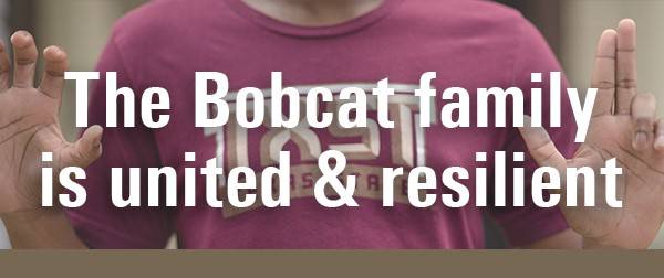 graphic saying the bobcat family is united and resilient
