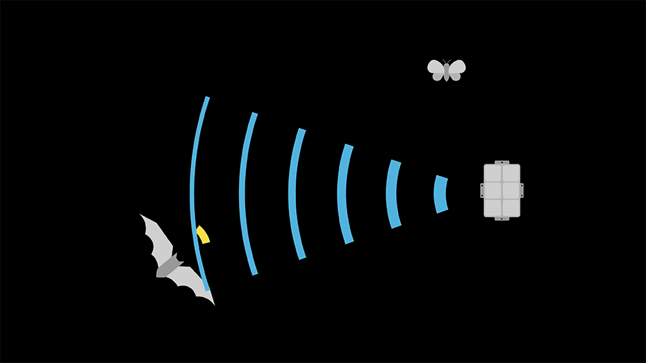 Study shows ultrasonic deterrents significantly reduce wind turbine bat
