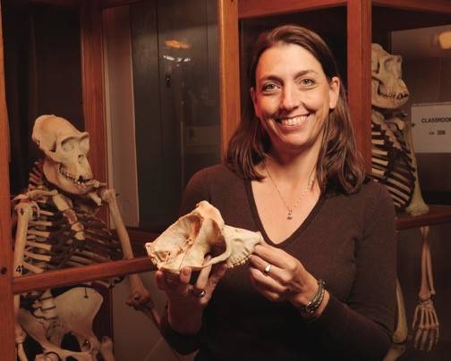 dr pruetz with chimpanzee skull