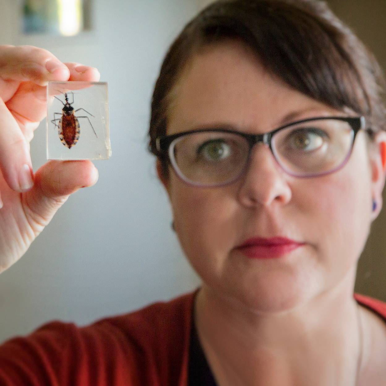 woman holding up bug specimen