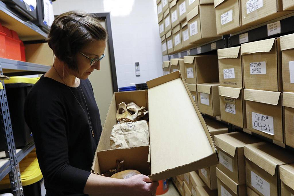 woman looking at skeletal remains in box