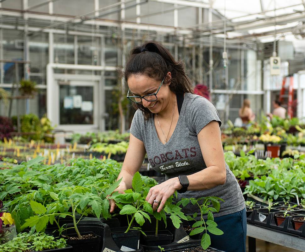 woman looking at growing plants