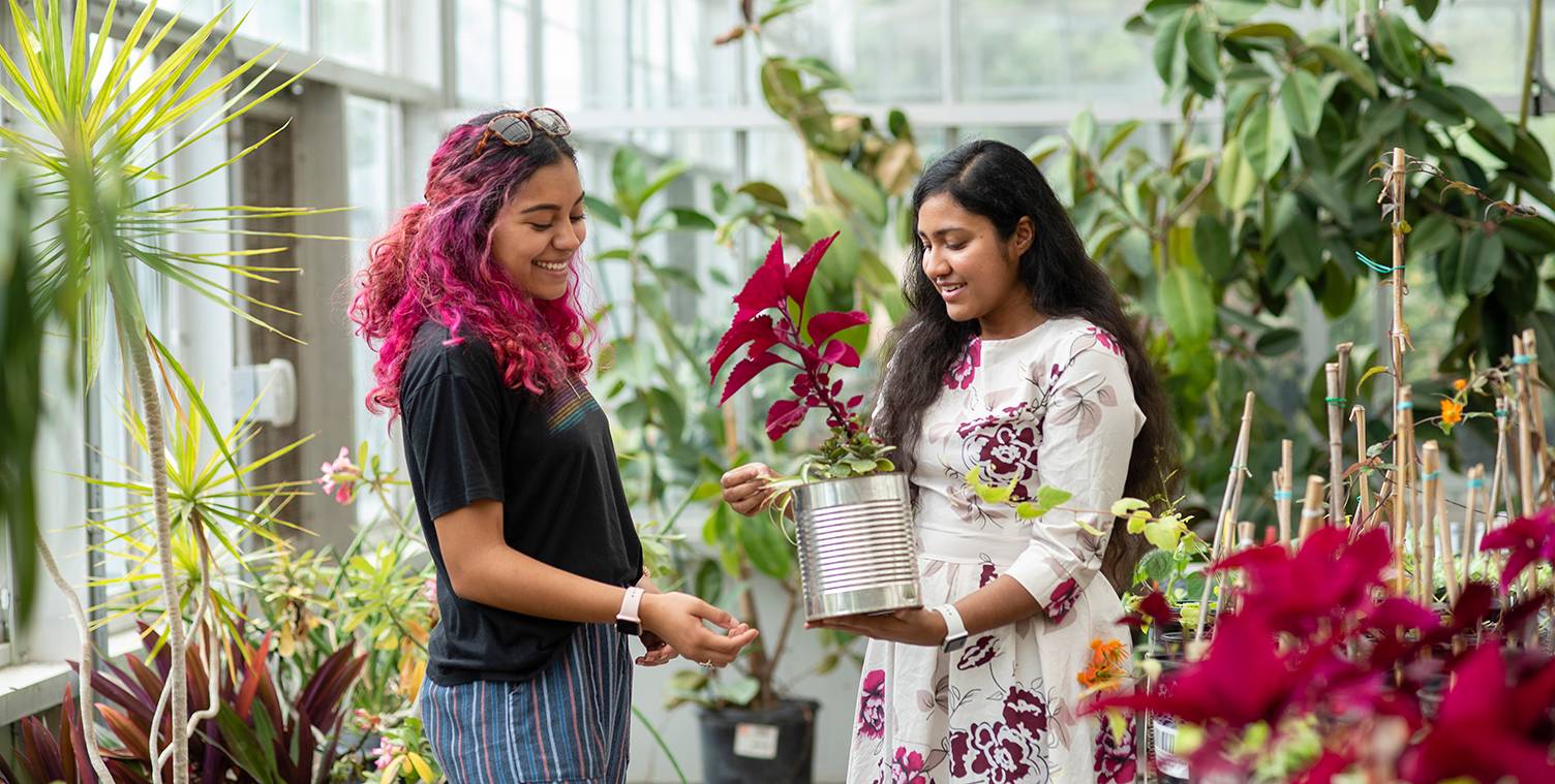 student and faculty member looking at plant
