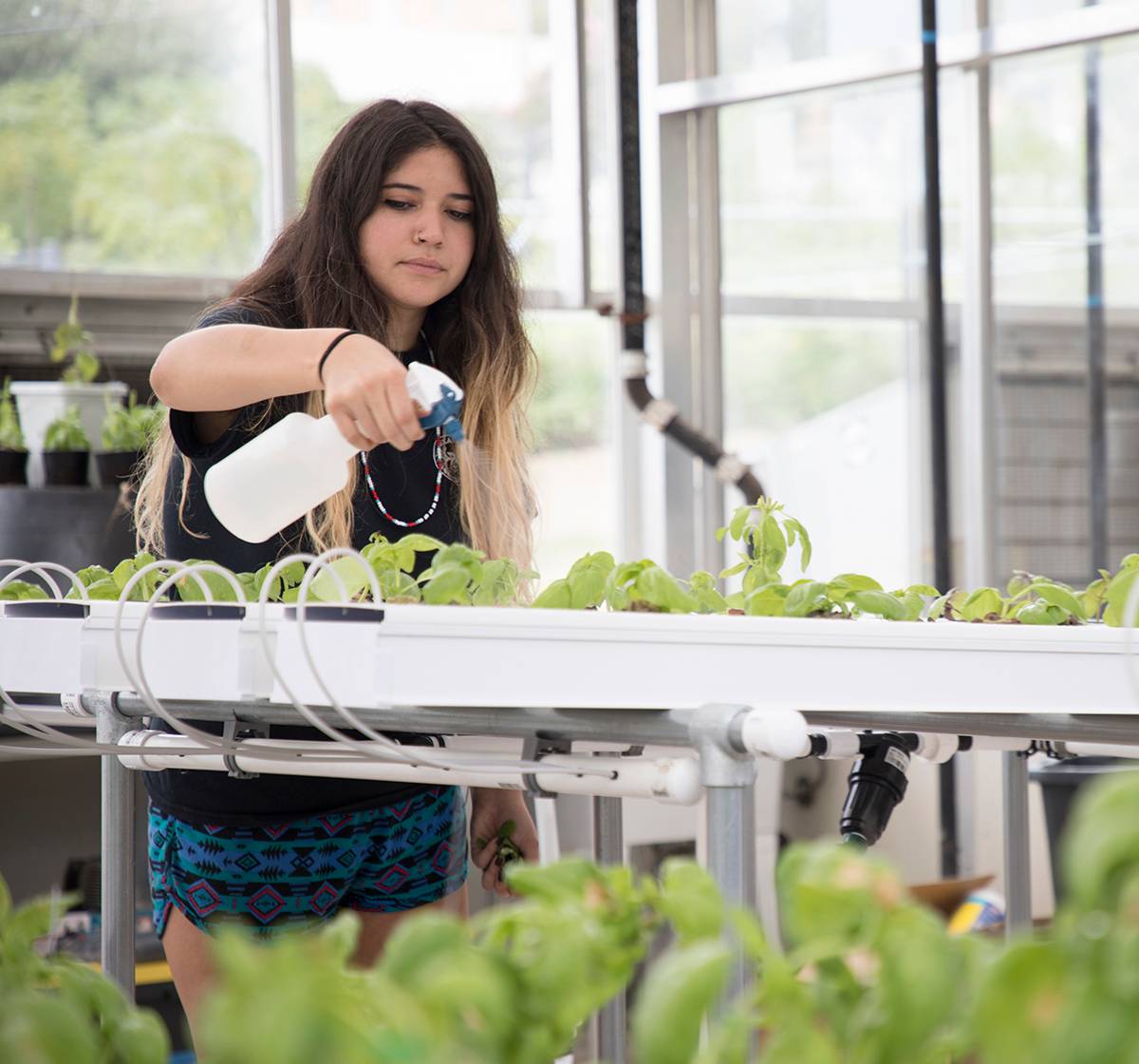 female student spraying plants with water