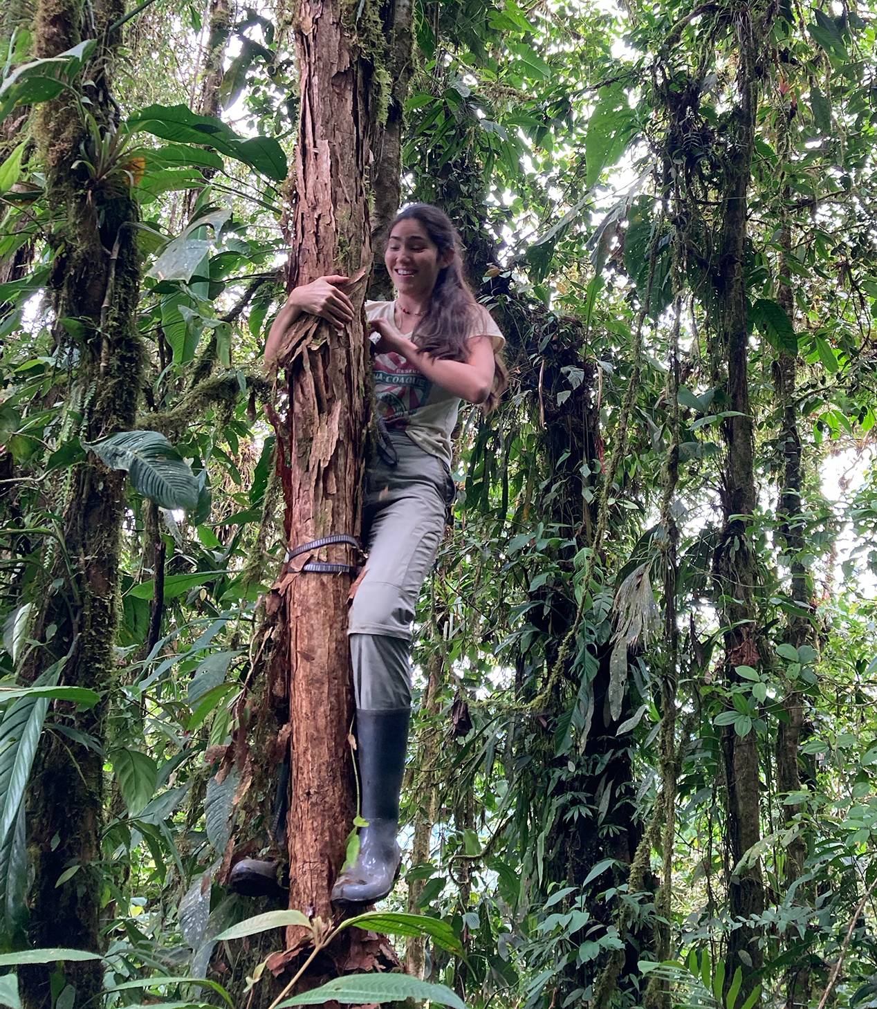 female student climbing tree in rain forest