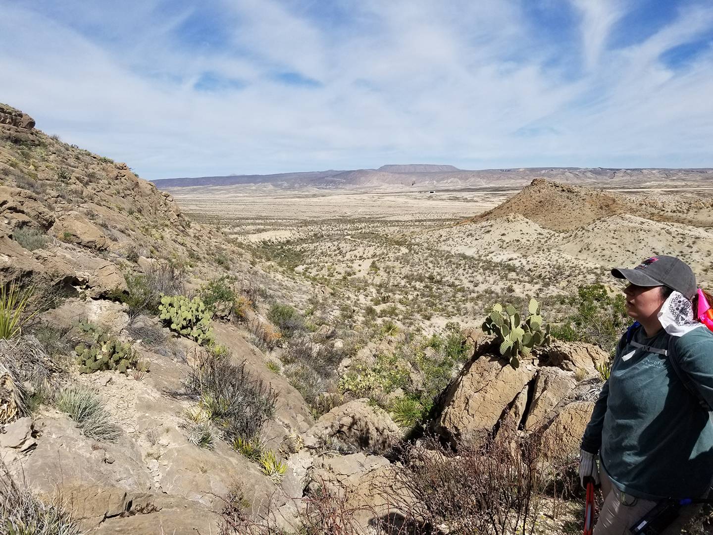 view overlooking mountain range at big bend national park