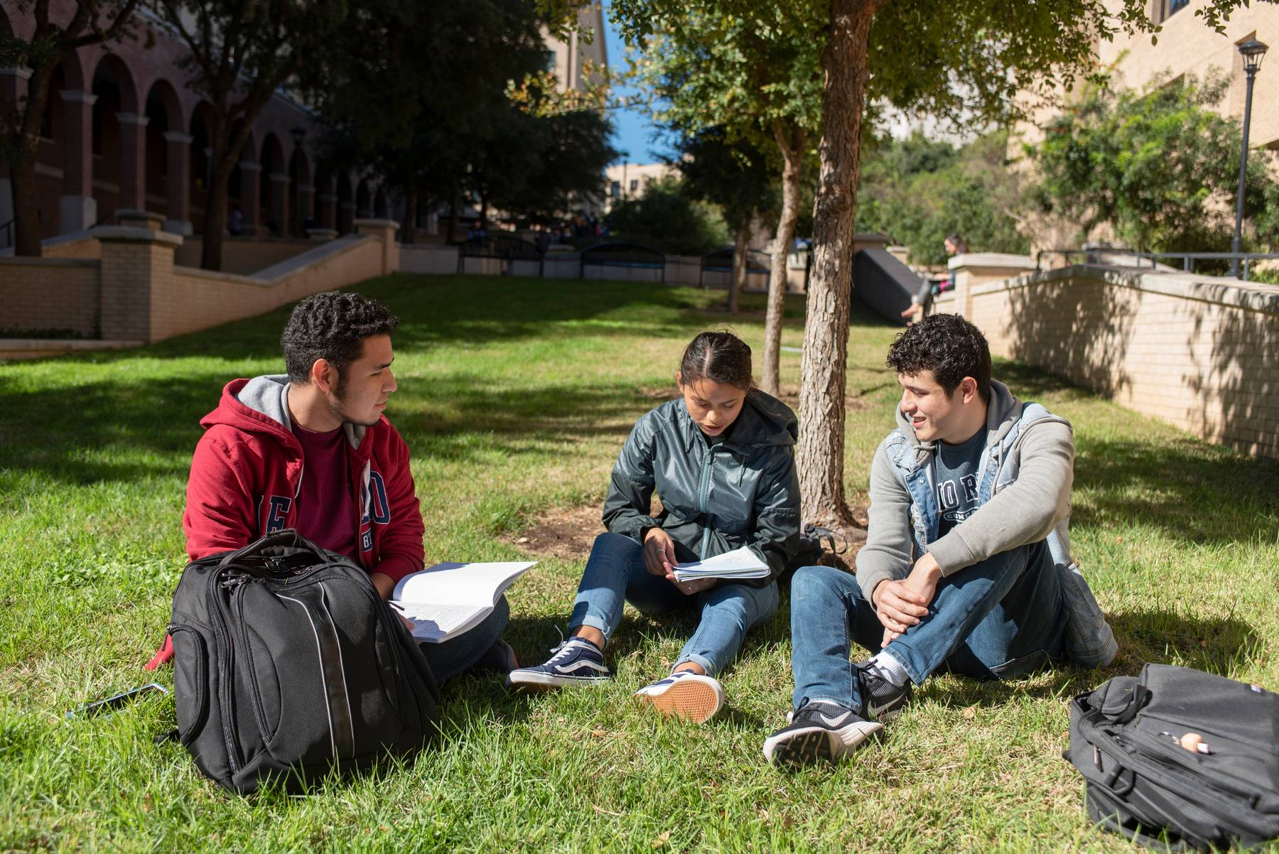 Students studying on the grass on campus.