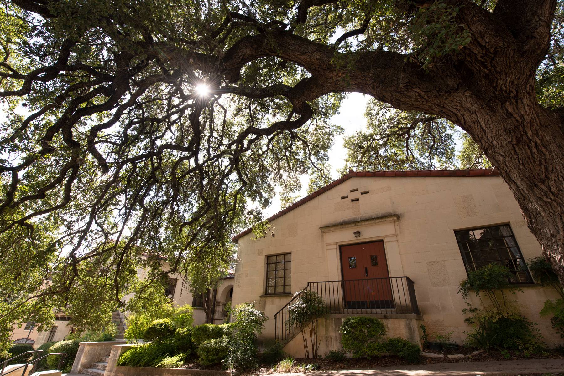 Online and Extended Programs : Texas State University