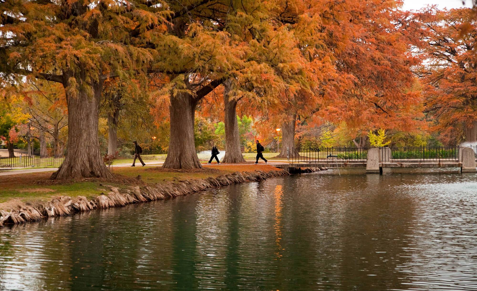 students walking by water with trees that have orange and red autumn leaves