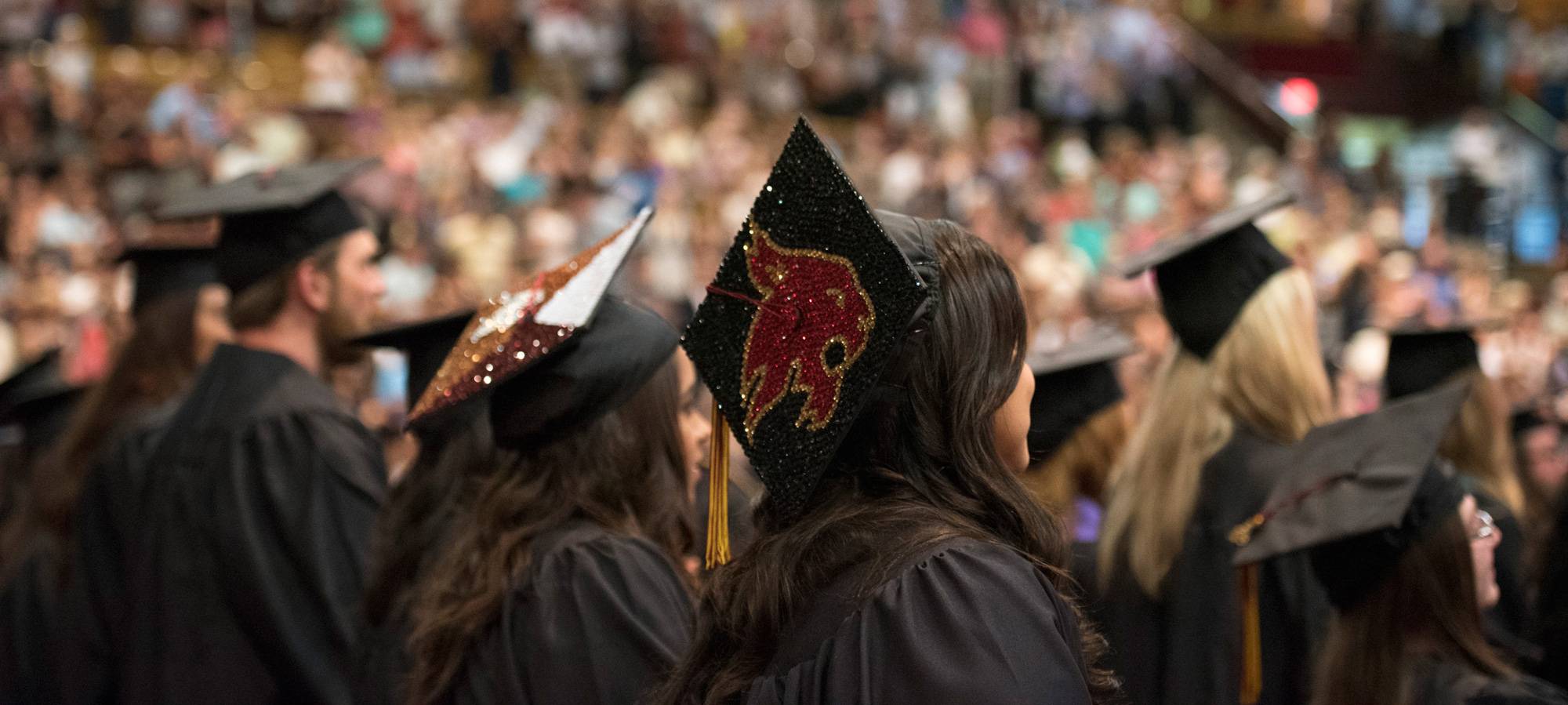 Back view of graduating students at commencement ceremony, graduation cap decorated with a glittering TXST bobcat