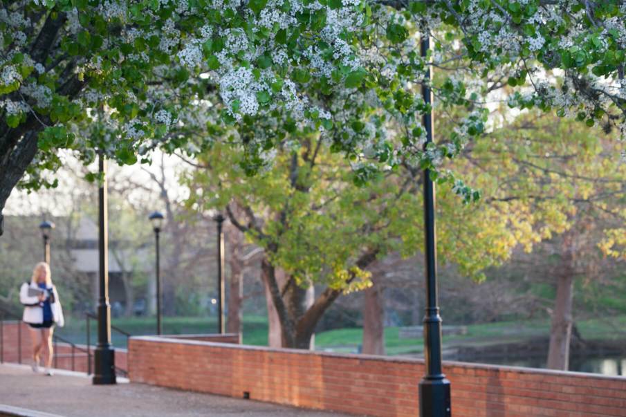 About Us Family Experiences Texas State University about-us-family-experiences-texas-state-university