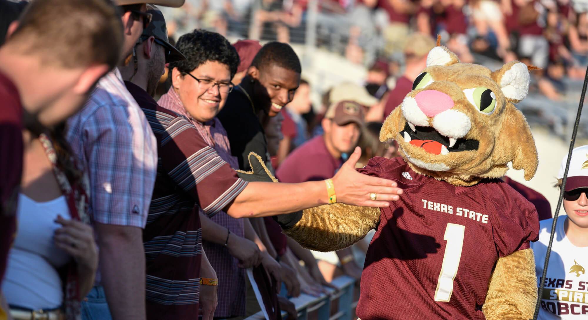 Texas State mascot, Boko the Bobcat, shaking hands with a row students at the football stadium.