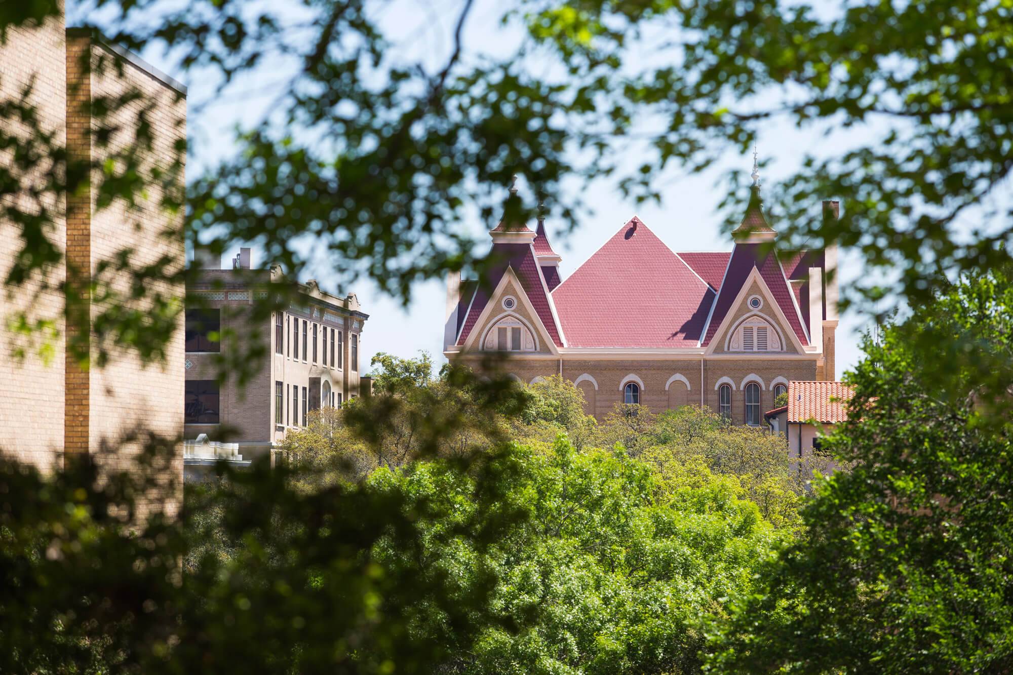 Branches covering parts of Old Main windows