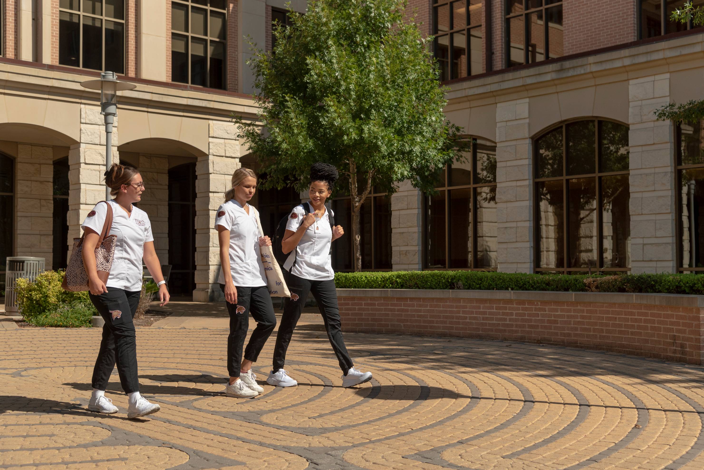 Arlington Texas University Rn To Bsn - yk0iuzn