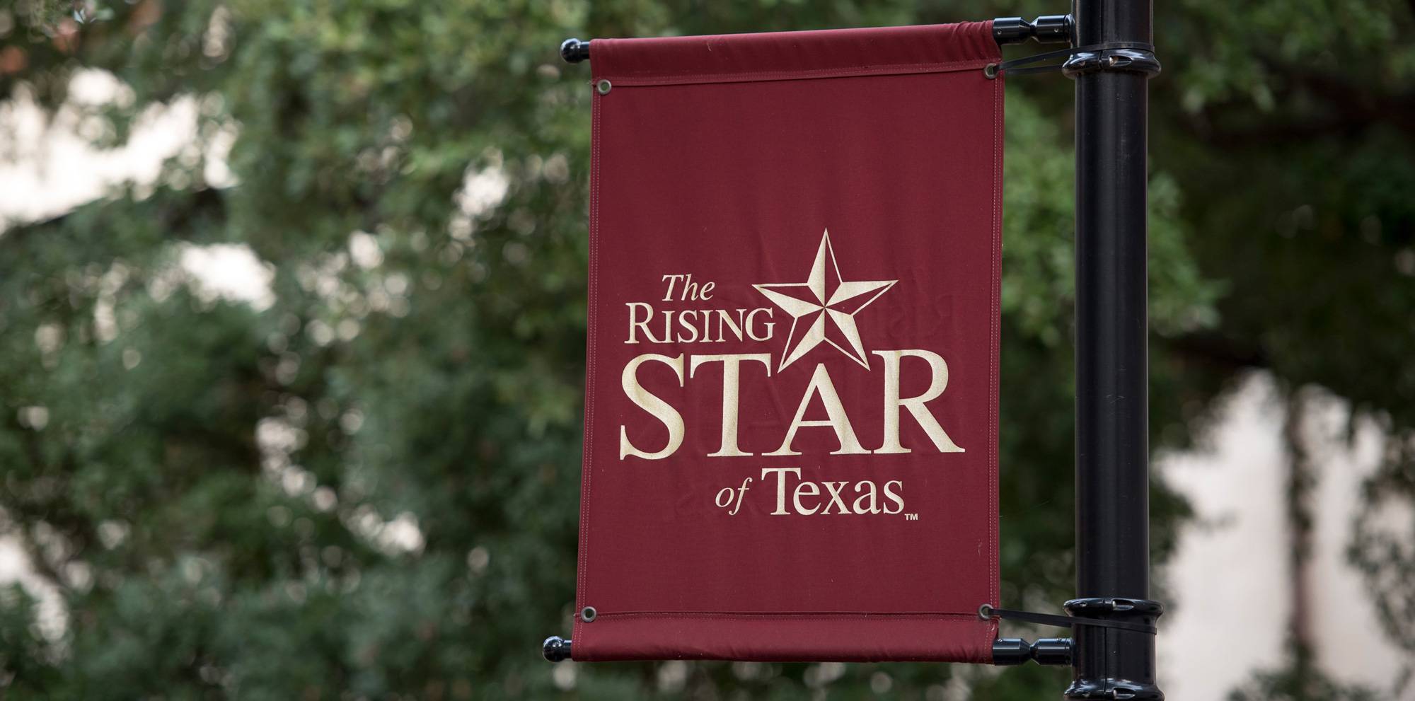 rising star of Texas