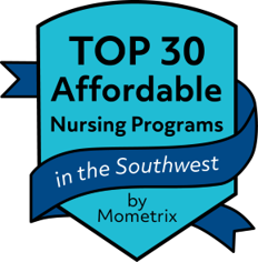 Top 30 Affordable Nursing Programs in the Southwest - Mometrix Blog