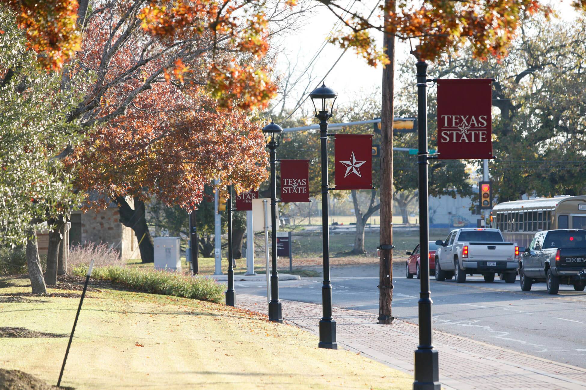 Texas State Banners on the side of the road