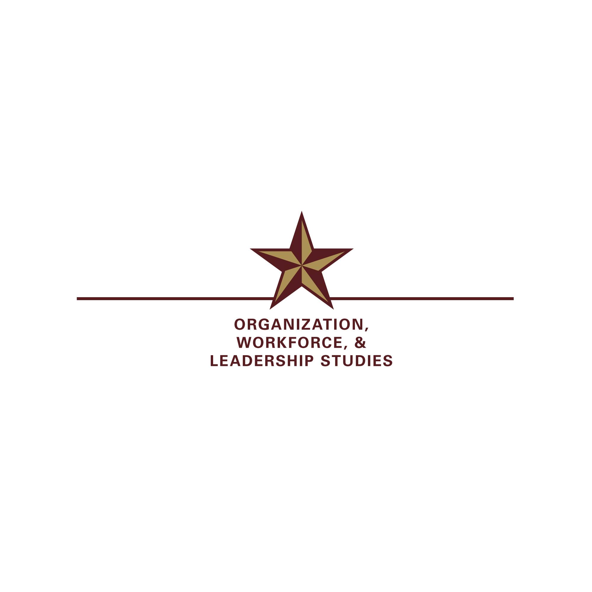 Department of Organization, Workforce and Leadership Studies