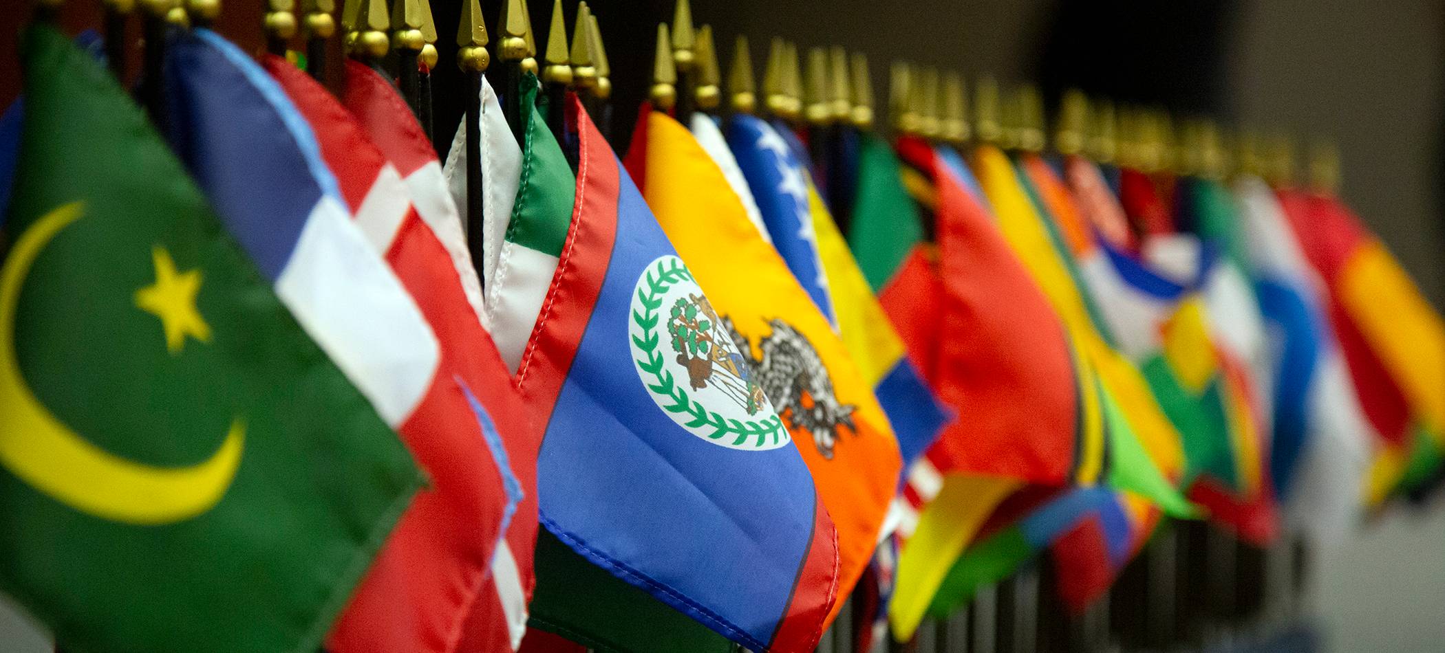 row of flags of nations represented by students at Texas State