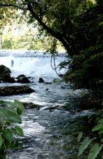 Serene view of the San Marcos River falls between the island and Clear Springs Apts.