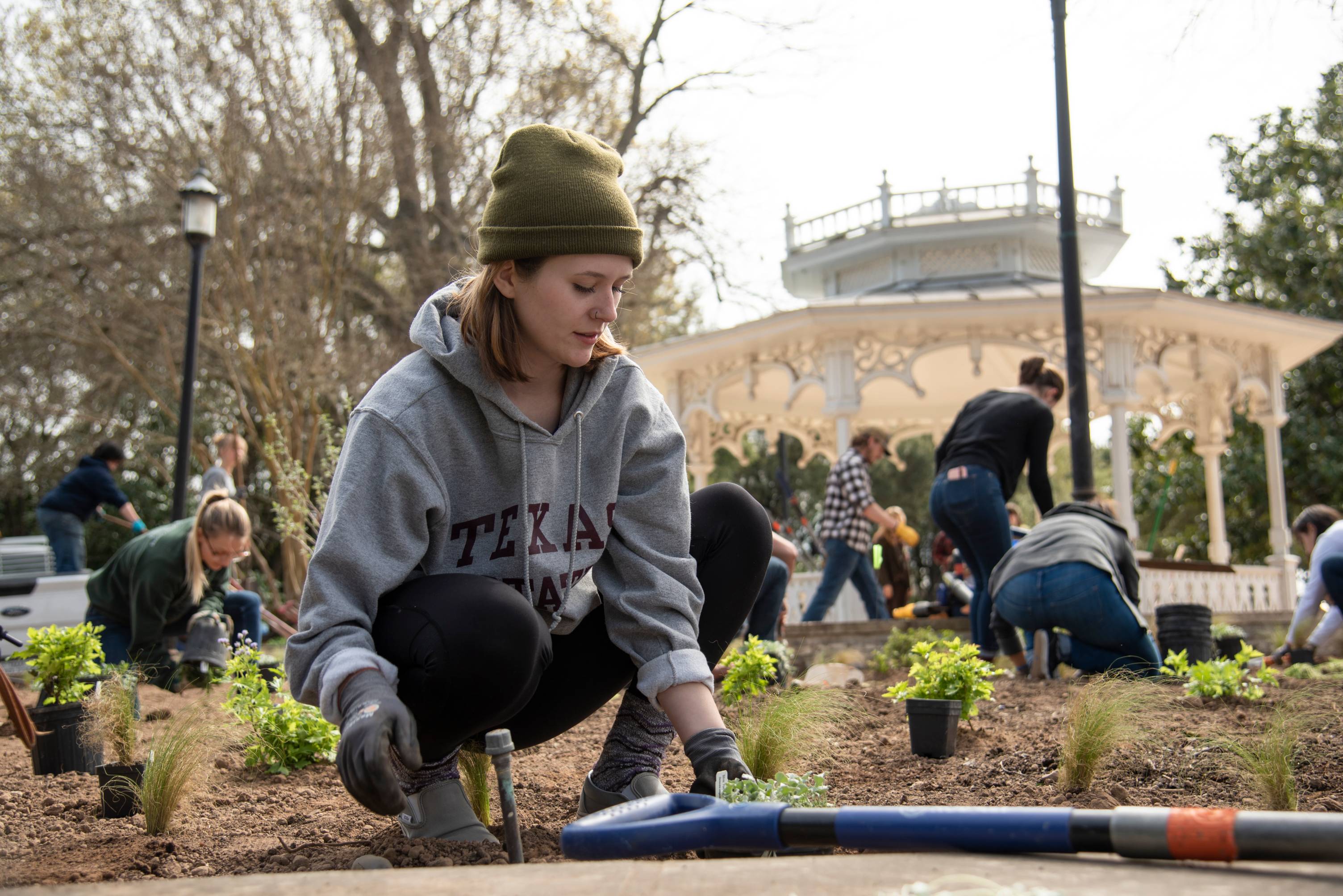 Texas State agriculture students planting some greenery in San Marcos