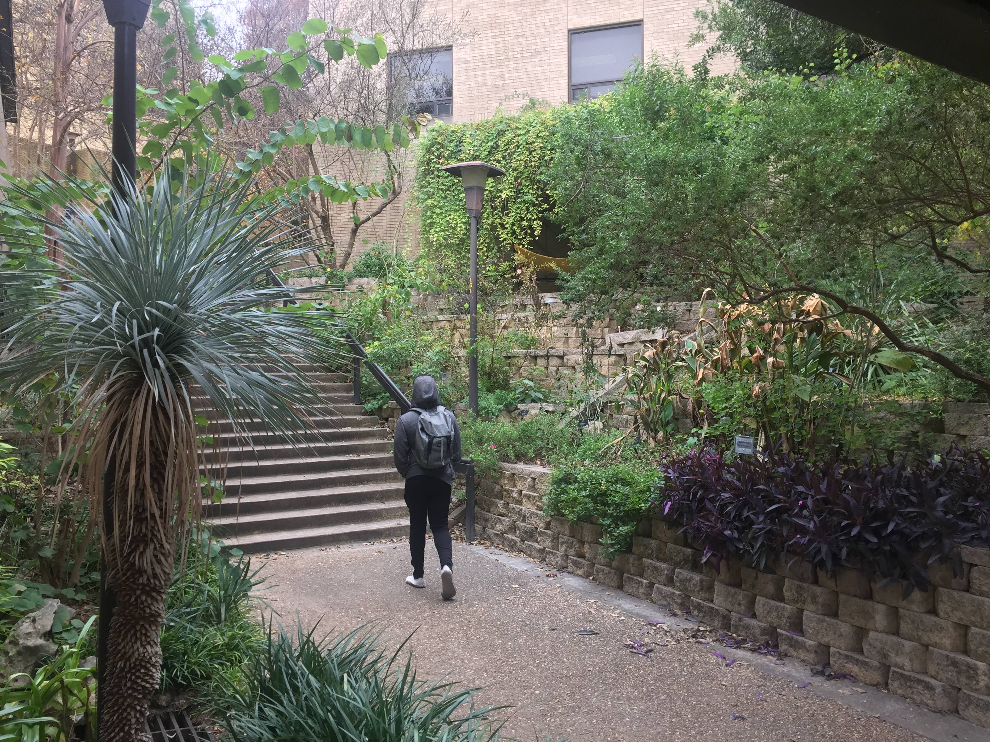student walking through an outdoor garden