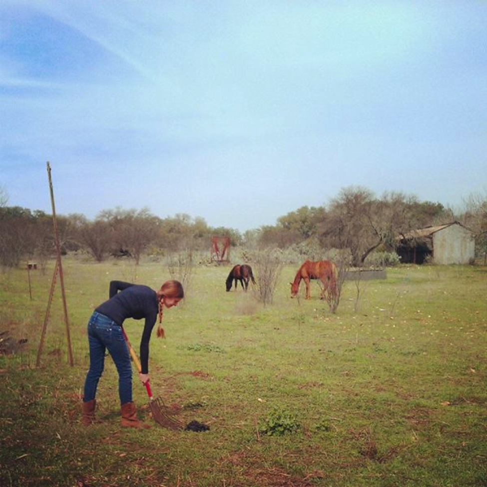 student working in a field with horses